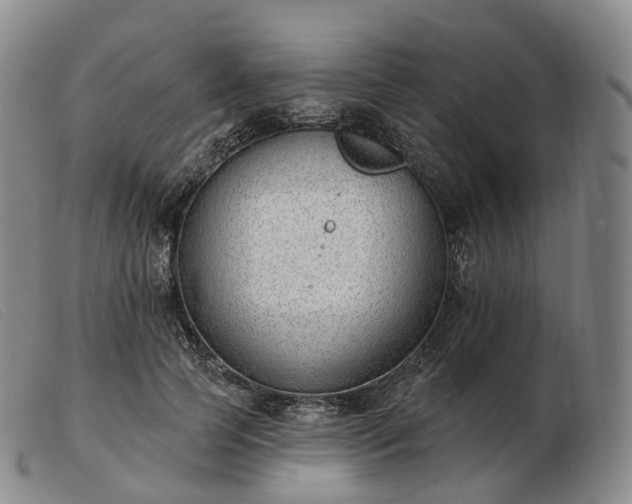 X0000103470745200809191835