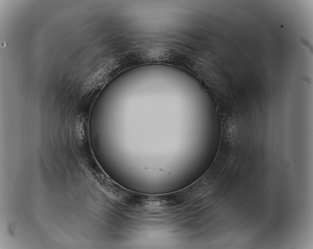 X0000103470746200809191835