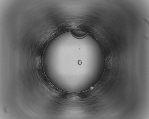 X0000103470747200809191835