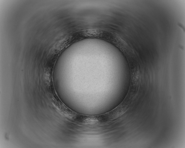 X0000103470749200809191835