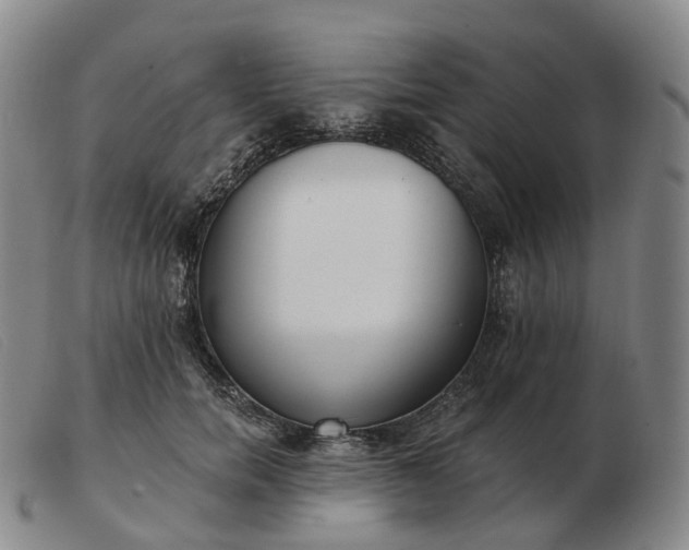 X0000103470750200809191835