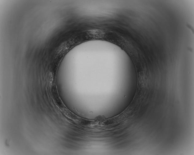 X0000103470752200809191835