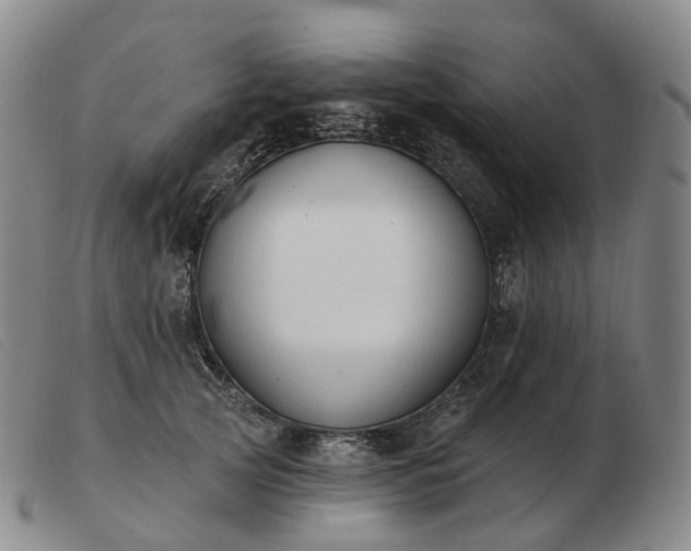 X0000103470753200809191835