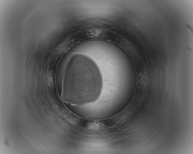 X0000103470754200809191835