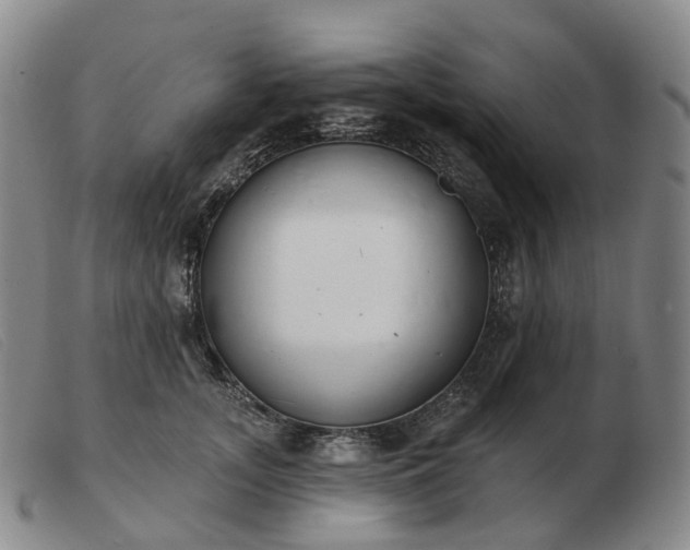 X0000103470755200809191835