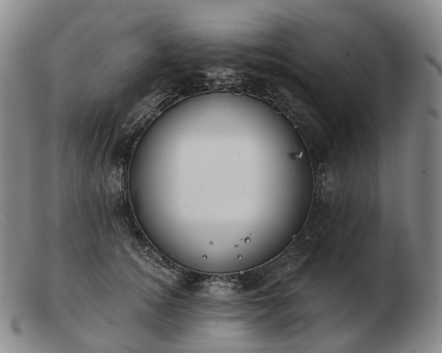 X0000103470756200809191835