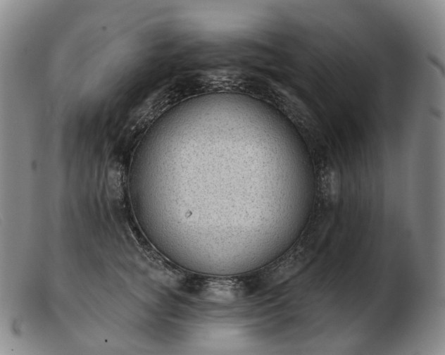 X0000103470757200809191835