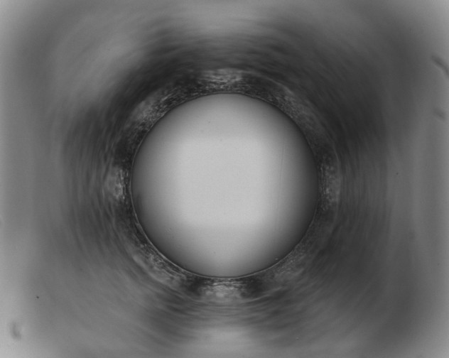 X0000103470758200809191835