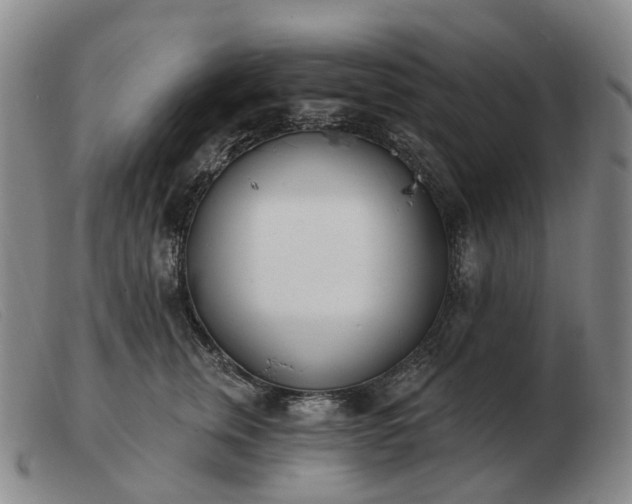 X0000103470759200809191835