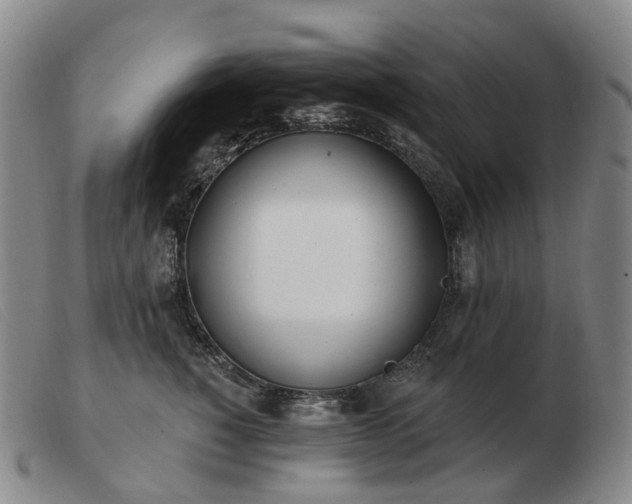 X0000103470760200809191835