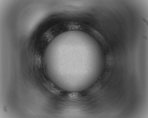 X0000103470761200809191835