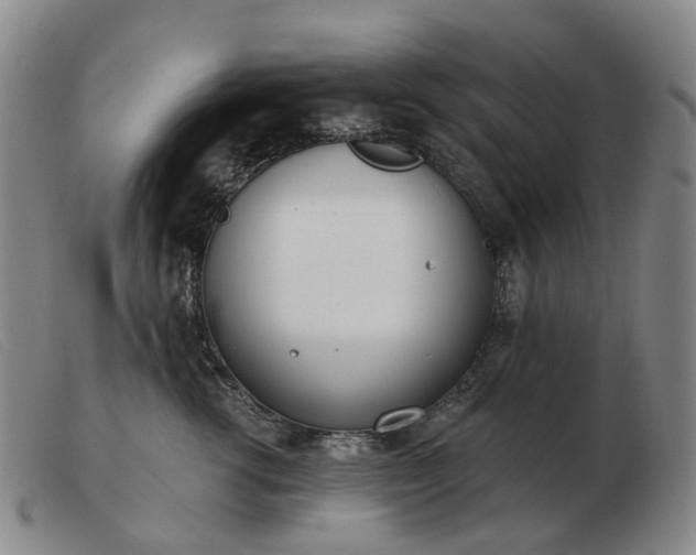 X0000103470762200809191835