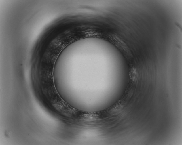 X0000103470763200809191835