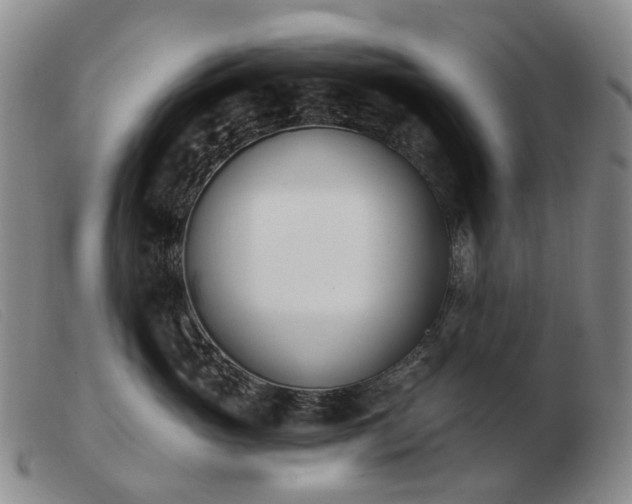 X0000103470765200809191835