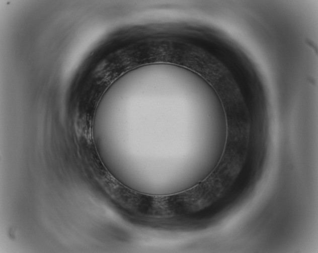 X0000103470766200809191835