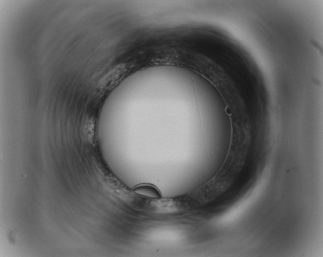 X0000103470767200809191835