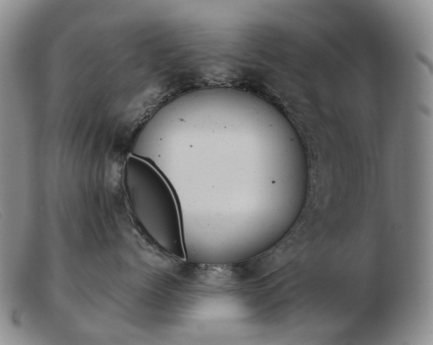 X0000103470768200809191835