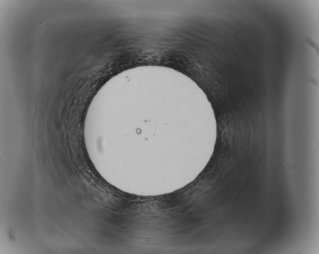 X0000103470769200809191835