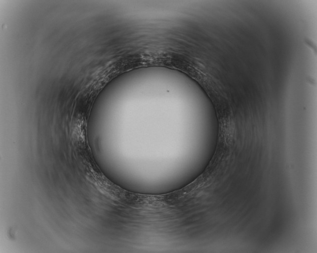 X0000103470770200809191835