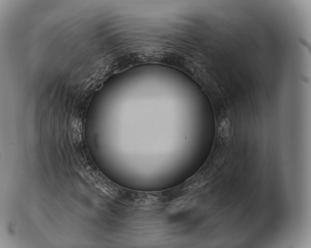 X0000103470772200809191835