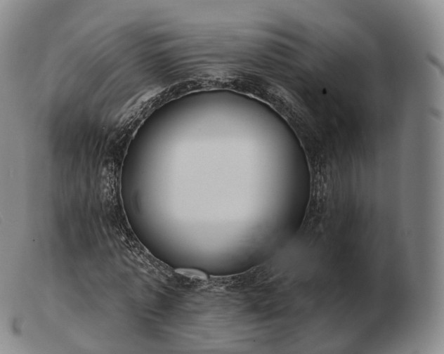 X0000103470773200809191834