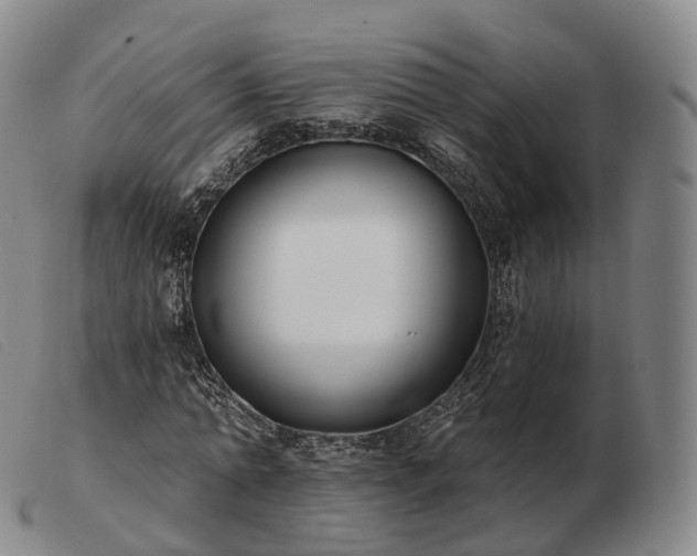 X0000103470774200809191834