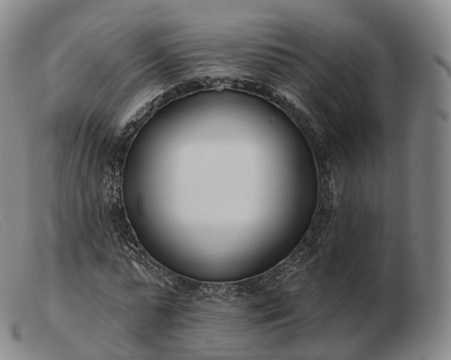 X0000103470775200809191834