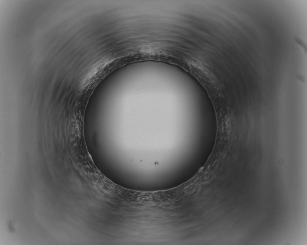 X0000103470776200809191834