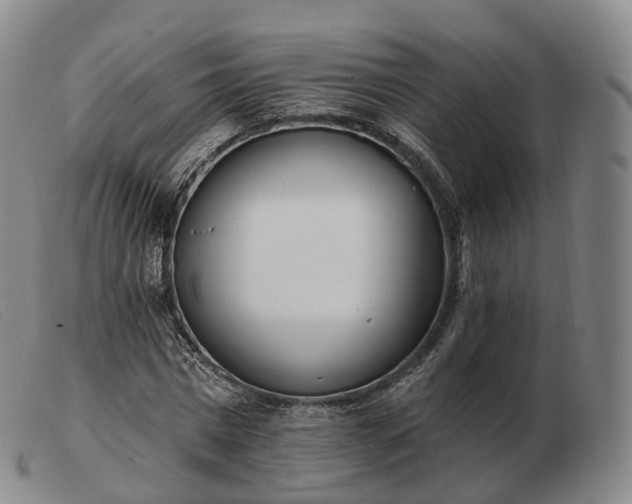 X0000103470777200809191834