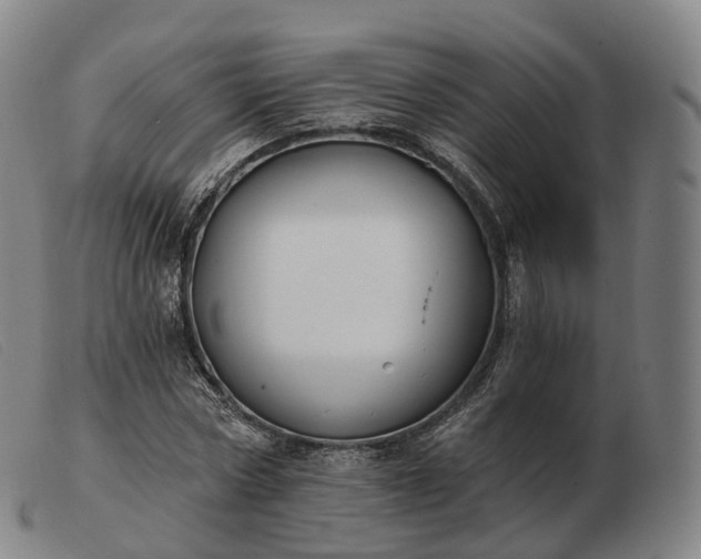 X0000103470778200809191834