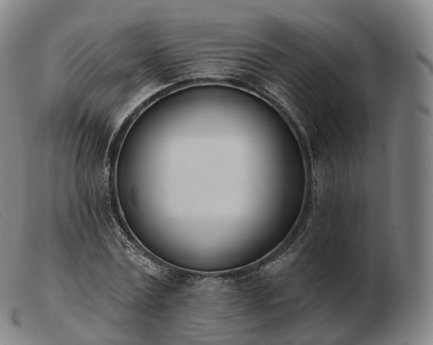 X0000103470779200809191834