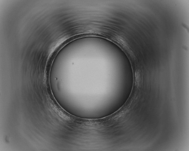 X0000103470780200809191834