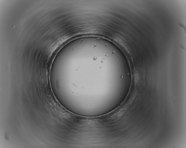 X0000103470781200809191834