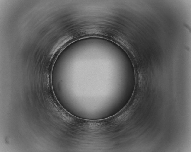 X0000103470782200809191834