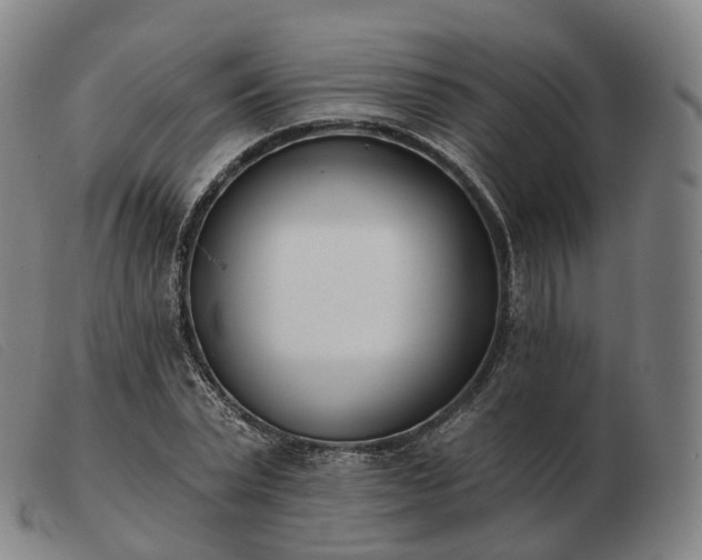 X0000103470783200809191834