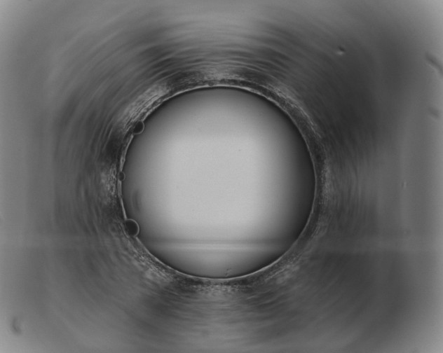 X0000103470785200809191834