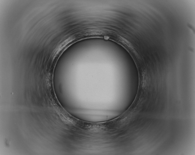 X0000103470786200809191834