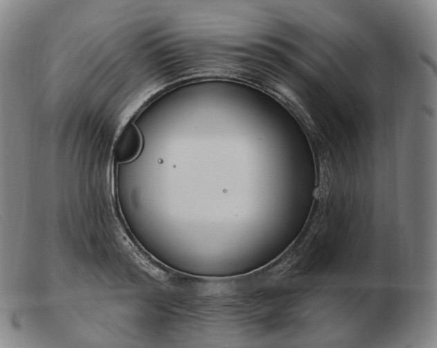 X0000103470796200809191834