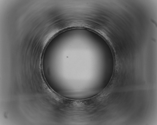 X0000103470799200809191834