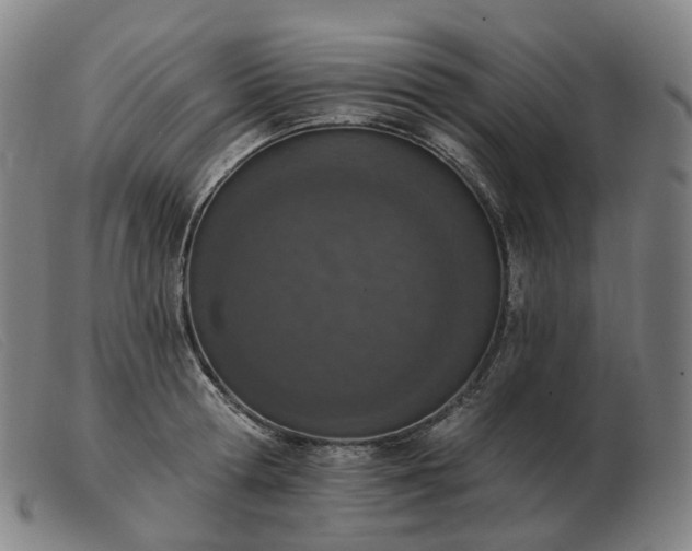 X0000103470802200809191834