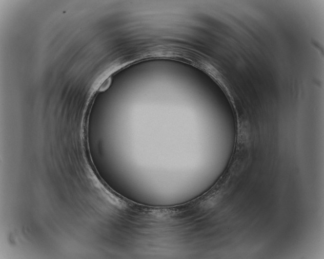 X0000103470803200809191834