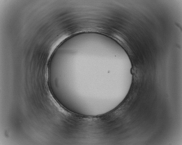 X0000103470804200809191834