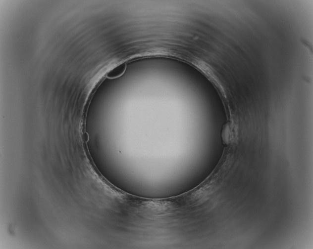 X0000103470805200809191834