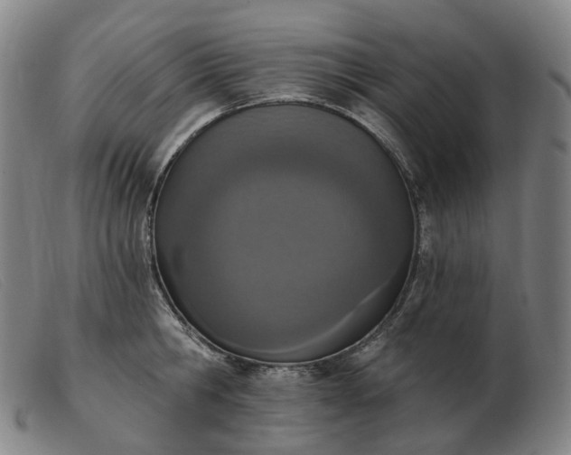 X0000103470806200809191834