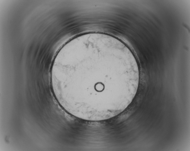 X0000103470807200809191834