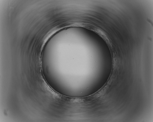 X0000103470808200809191834