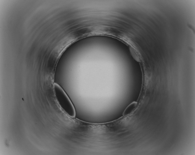 X0000103470809200809191834