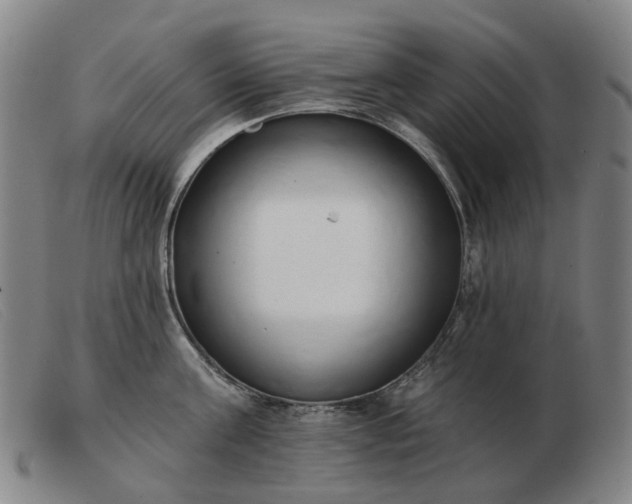 X0000103470811200809191834