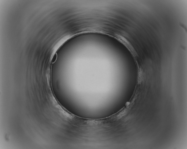 X0000103470812200809191834