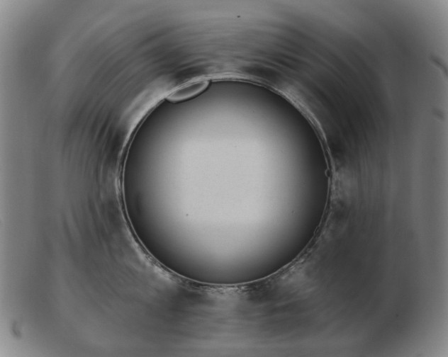 X0000103470813200809191834